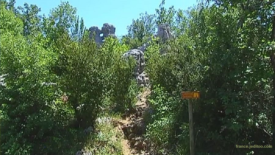 bois de pa&iuml;olive