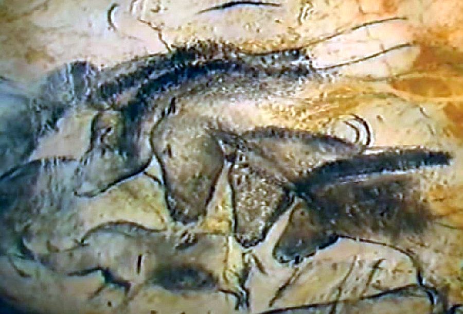 Chevaux grotte Chauvet