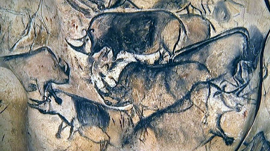 Rhinoc&eacute;ros laineux grotte Chauvet