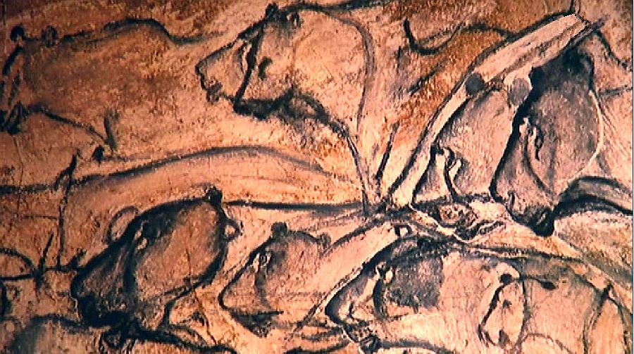Groupe de lions, lionnes, en chasse, grotte chauvet