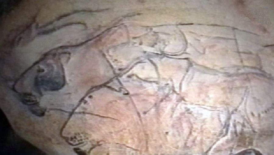Groupe de lions, grotte Chauvet