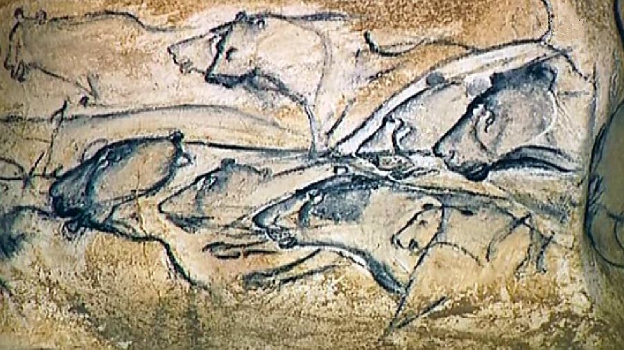 Groupe de lions, lionnes, en chasse, grotte chauvet