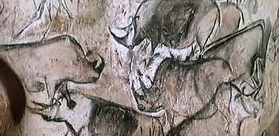 Rhinoc&eacute;ros grotte Chauvet
