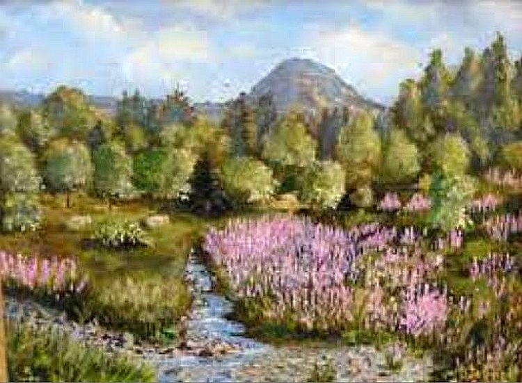 Mont Gerbier des Joncs Bejar Passion