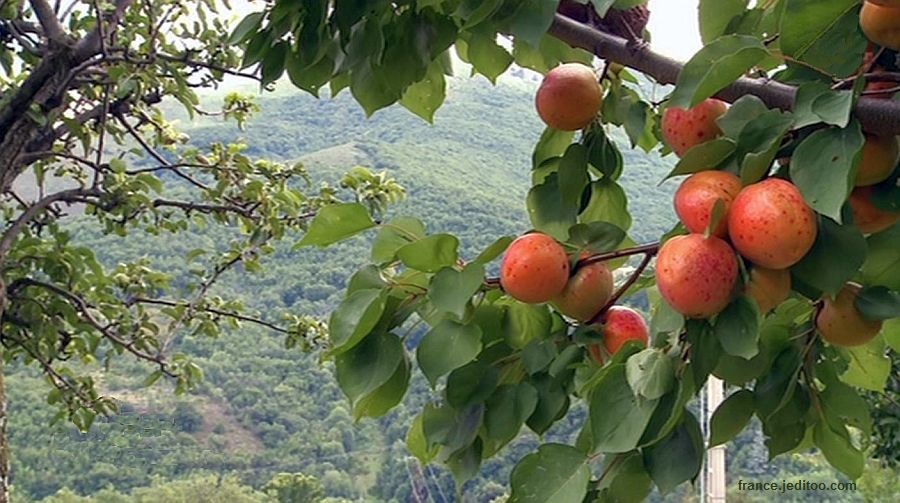 Paysage de l'Ard&egrave;che