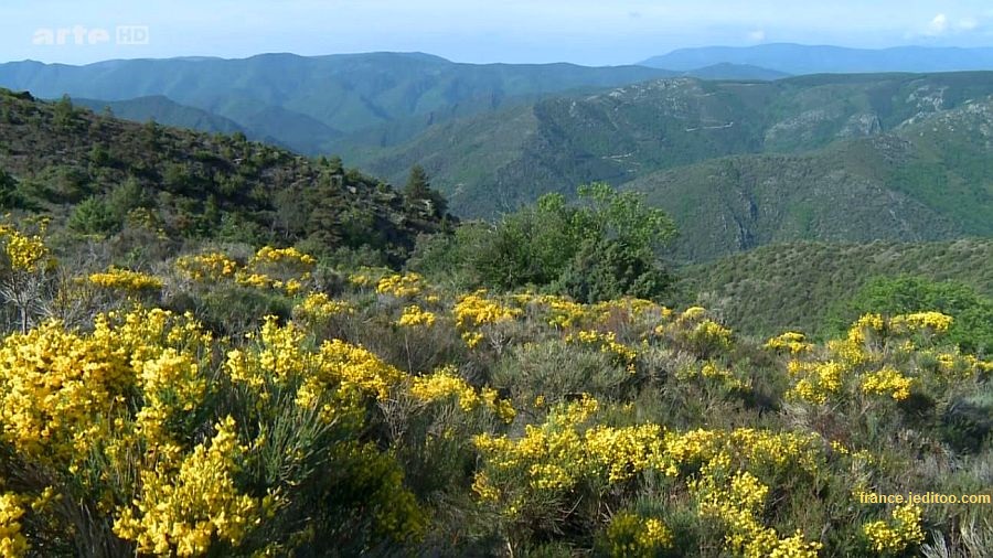Paysage de l'Ard&egrave;che