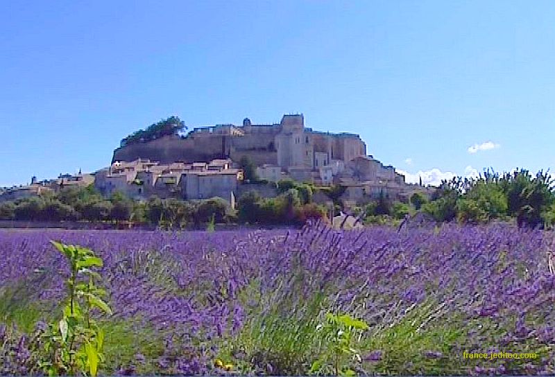 grignan vue des  lavandes