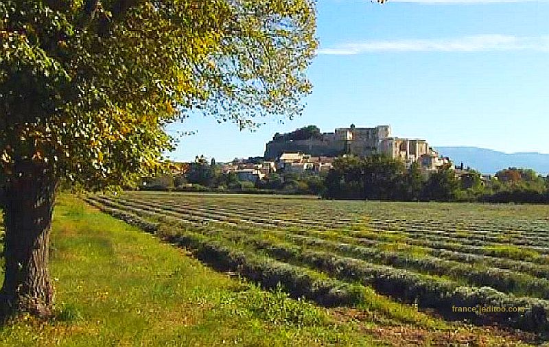 Champs de lavandes devant Grignan