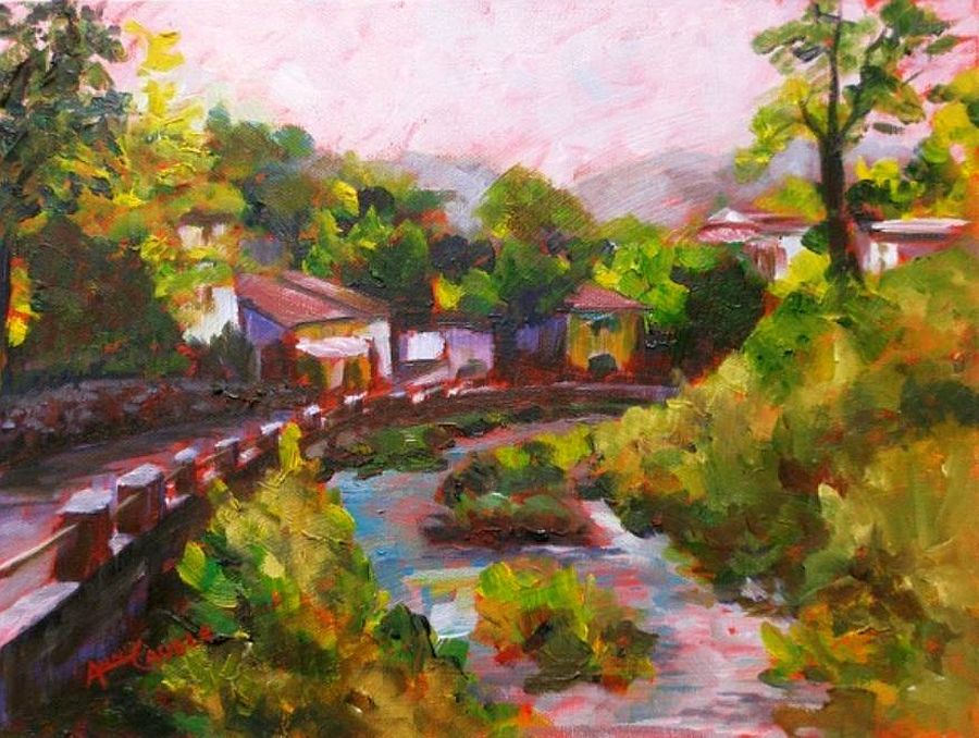 Dieulefit  en &eacute;t&eacute; par Ann Caudle