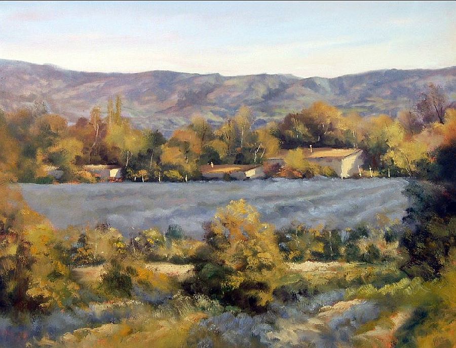 Lavandes en Drome proven&ccedil;ale par Pascal Giroud