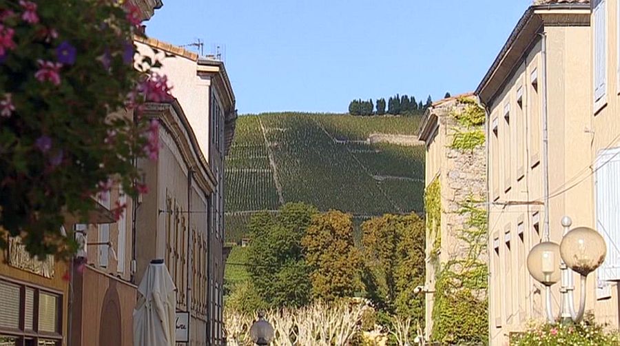  de Tain l'Hermitage et ses  vignes