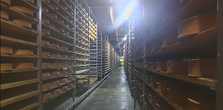 Affrinage des Reblochons dans le tunnel de Sixt-Fer-&agrave;-Cheval