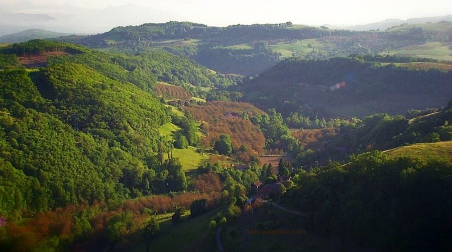 plantation de noyers pr&egrave;s de Grenoble