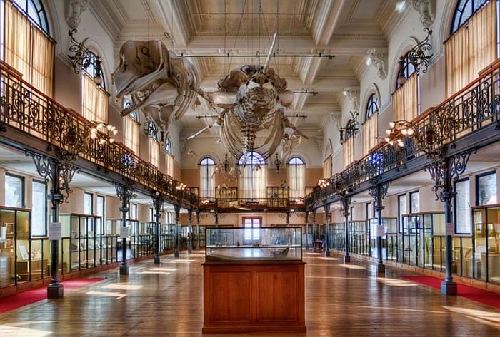 Oceanographic museum of Monaco